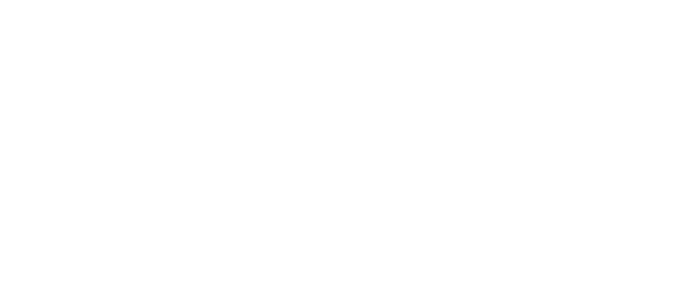 SVTur